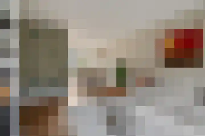 De Steenkamp 114 Voorthuizen thumbnail 7