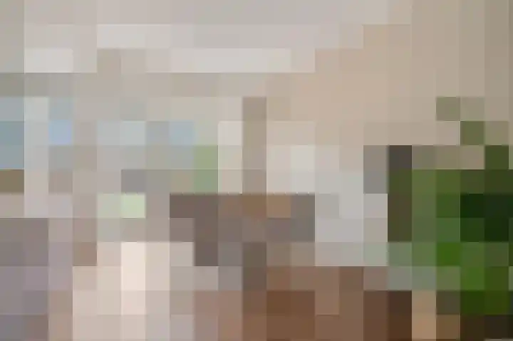 De Steenkamp 114 Voorthuizen thumbnail 8