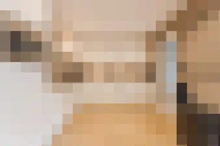 De Steenkamp 115 Voorthuizen thumbnail 10