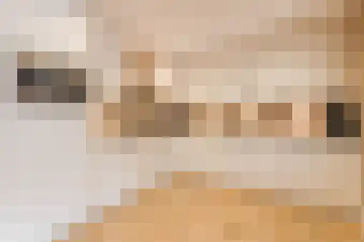 De Steenkamp 115 Voorthuizen thumbnail 11