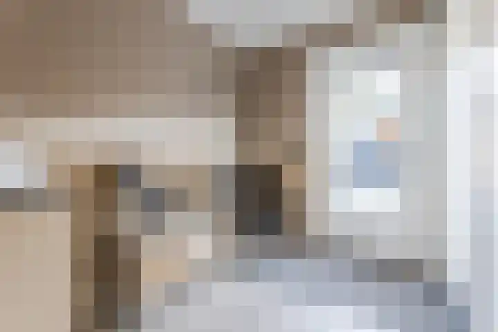 De Steenkamp 115 Voorthuizen thumbnail 12
