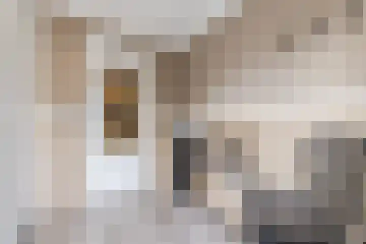 De Steenkamp 115 Voorthuizen thumbnail 13