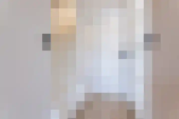 De Steenkamp 115 Voorthuizen thumbnail 15