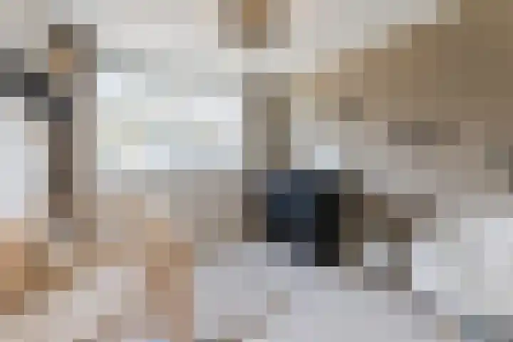 De Steenkamp 115 Voorthuizen thumbnail 19