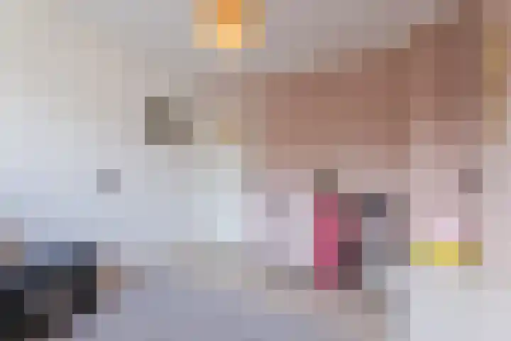 De Steenkamp 115 Voorthuizen thumbnail 22