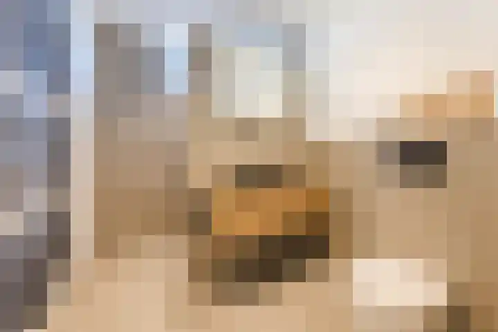De Steenkamp 115 Voorthuizen thumbnail 23