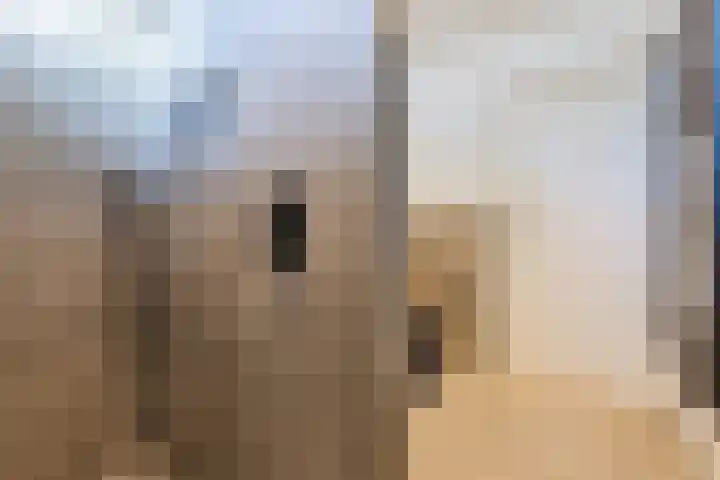 De Steenkamp 115 Voorthuizen thumbnail 24