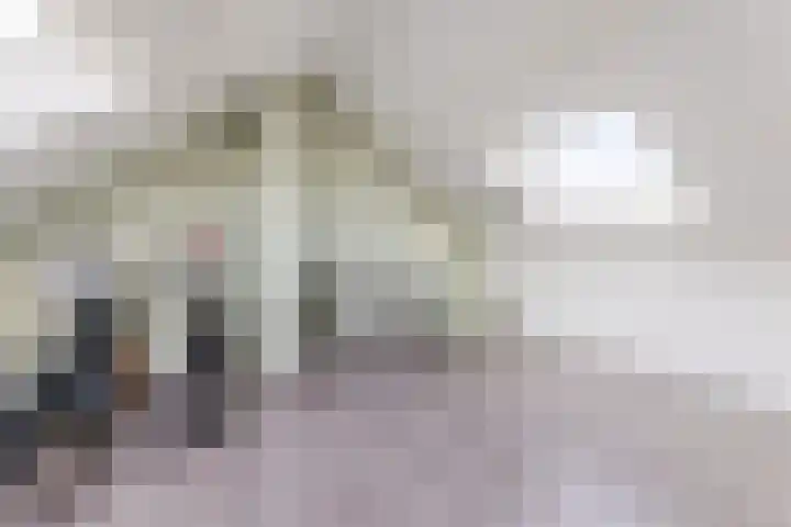 De Steenkamp 115 Voorthuizen thumbnail 26