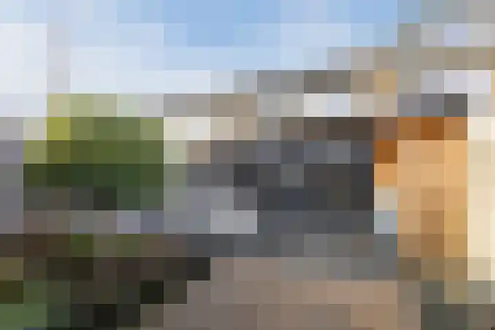 De Steenkamp 115 Voorthuizen thumbnail 29