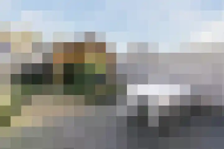 De Steenkamp 115 Voorthuizen thumbnail 30
