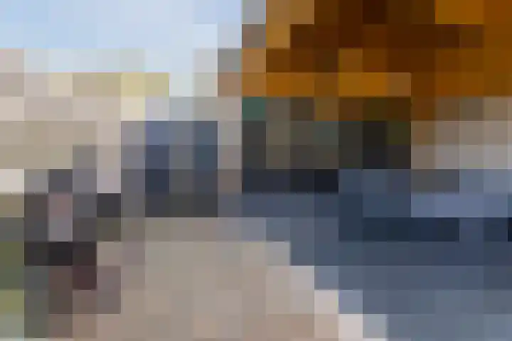 De Steenkamp 115 Voorthuizen thumbnail 31