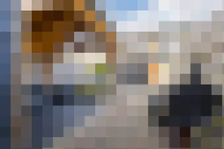 De Steenkamp 115 Voorthuizen thumbnail 32