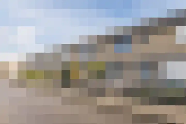 De Steenkamp 115 Voorthuizen thumbnail 33