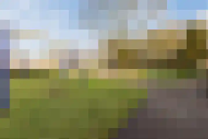 De Steenkamp 115 Voorthuizen thumbnail 35