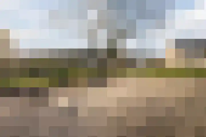 De Steenkamp 115 Voorthuizen thumbnail 36