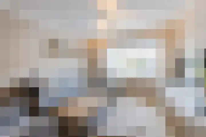 De Steenkamp 115 Voorthuizen thumbnail 5