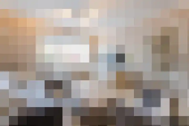 De Steenkamp 115 Voorthuizen thumbnail 6