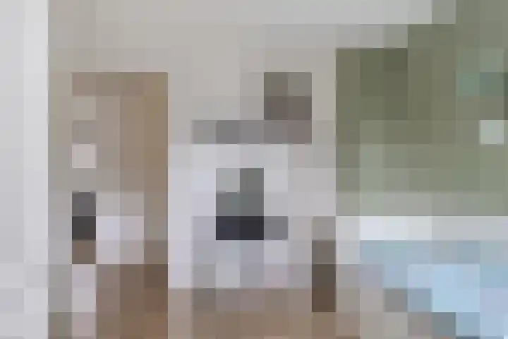 De Steenkamp 116 Voorthuizen thumbnail 21