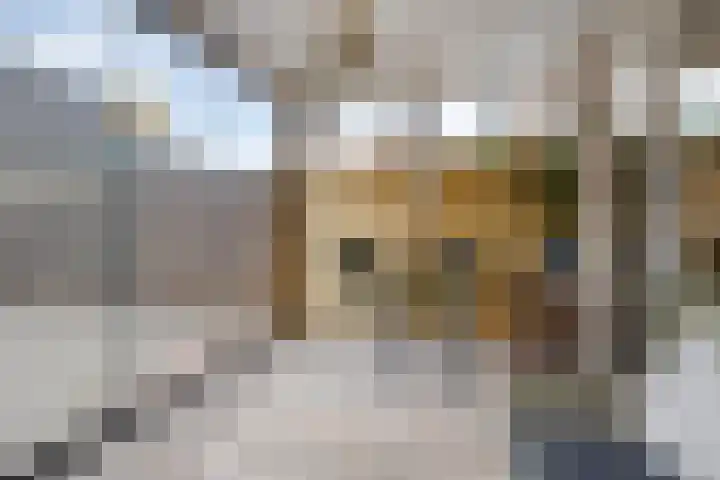 De Steenkamp 116 Voorthuizen thumbnail 27