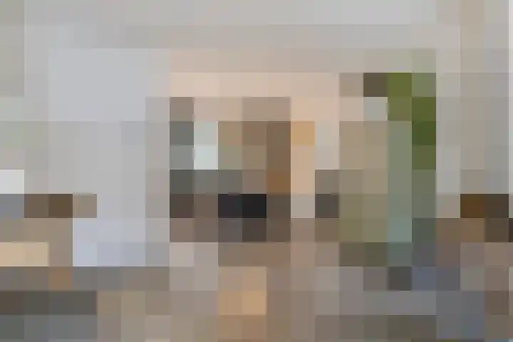 De Steenkamp 116 Voorthuizen thumbnail 9