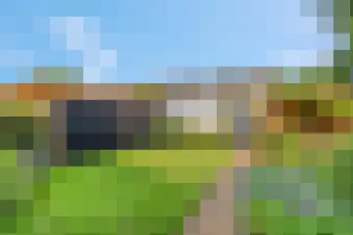 De Steenkamp 126 Voorthuizen thumbnail 10