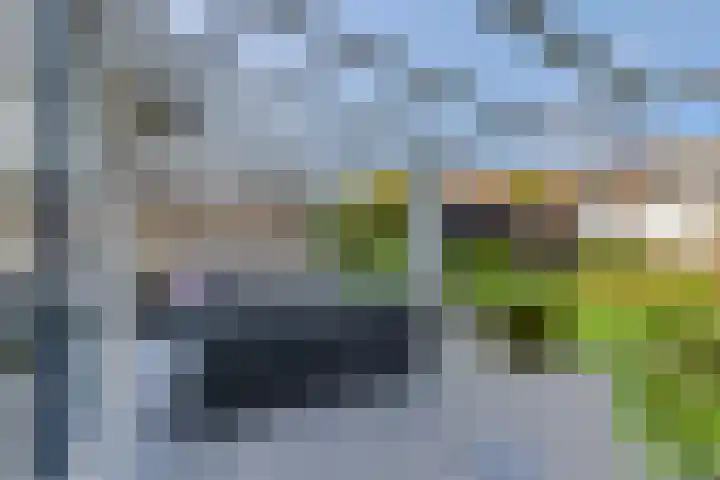 De Steenkamp 126 Voorthuizen thumbnail 11