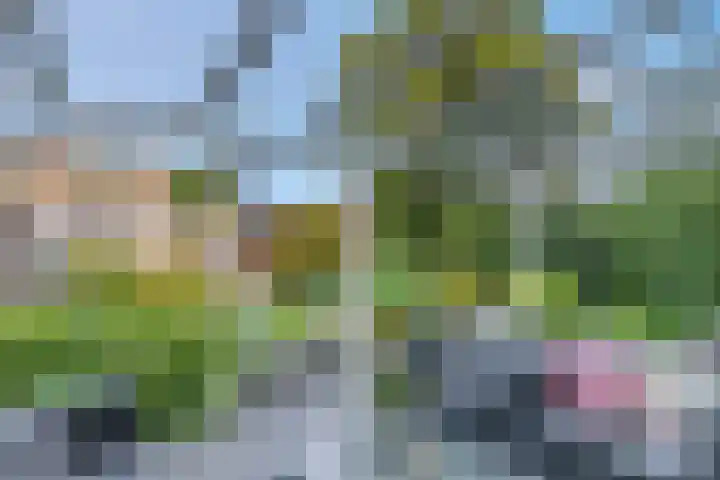 De Steenkamp 126 Voorthuizen thumbnail 12