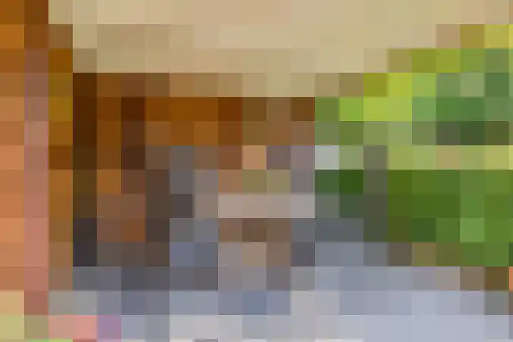 De Steenkamp 126 Voorthuizen thumbnail 13