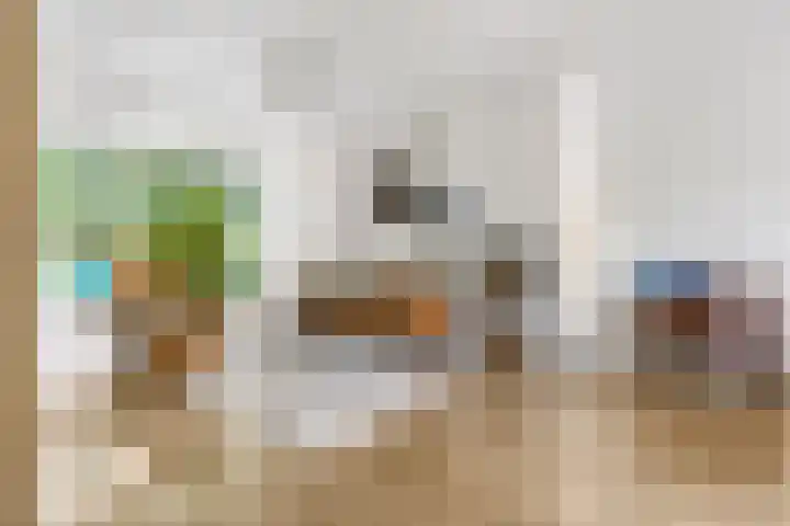 De Steenkamp 126 Voorthuizen thumbnail 14
