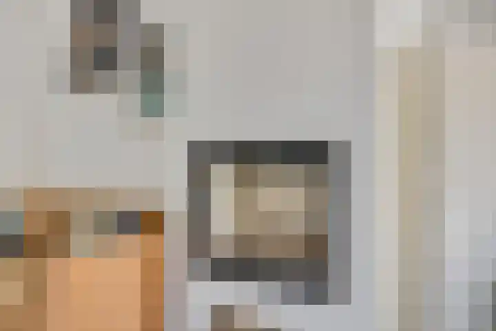 De Steenkamp 126 Voorthuizen thumbnail 15