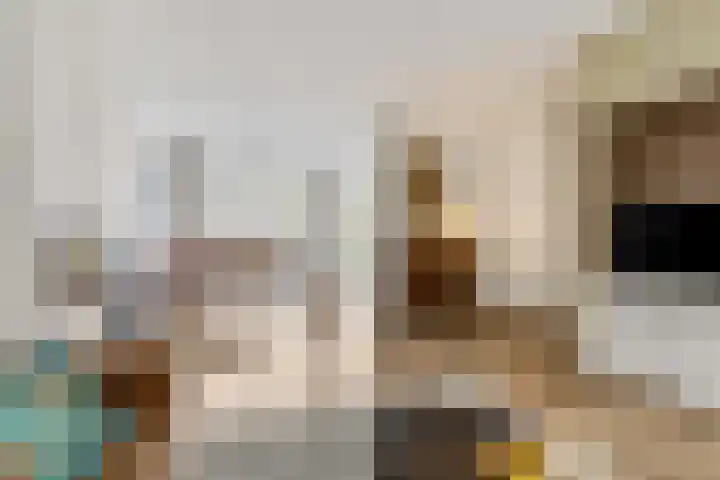 De Steenkamp 126 Voorthuizen thumbnail 16