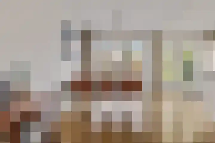 De Steenkamp 126 Voorthuizen thumbnail 18