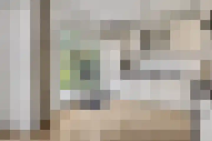 De Steenkamp 126 Voorthuizen thumbnail 19