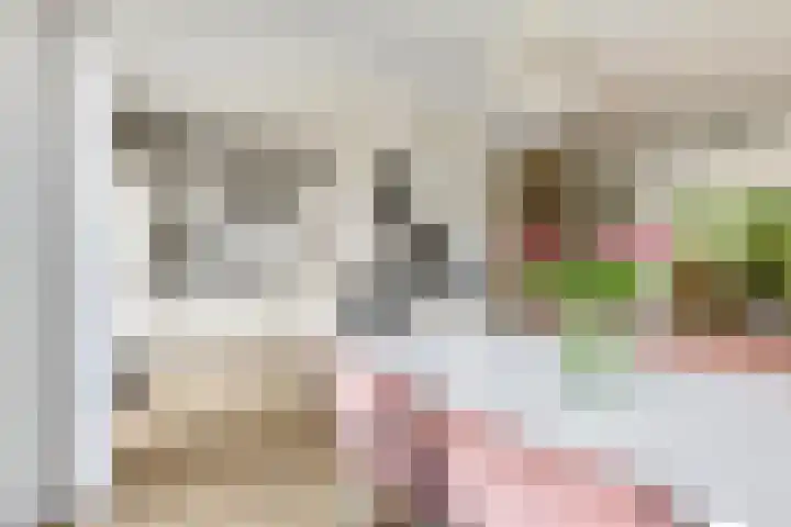 De Steenkamp 126 Voorthuizen thumbnail 20