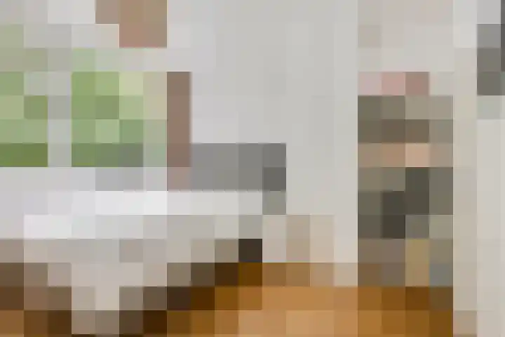 De Steenkamp 126 Voorthuizen thumbnail 26