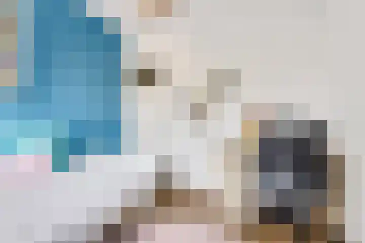 De Steenkamp 126 Voorthuizen thumbnail 28