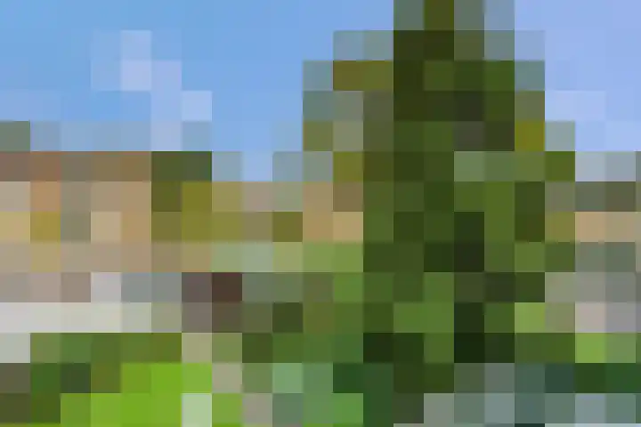 De Steenkamp 126 Voorthuizen thumbnail 30