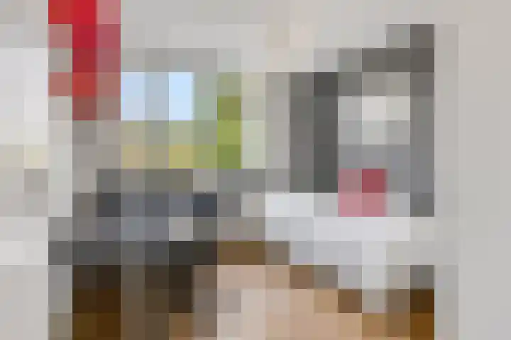 De Steenkamp 126 Voorthuizen thumbnail 31