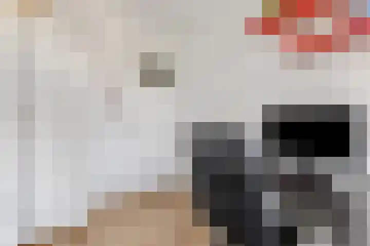 De Steenkamp 126 Voorthuizen thumbnail 32