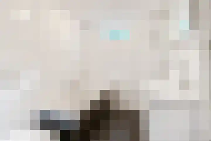 De Steenkamp 126 Voorthuizen thumbnail 34