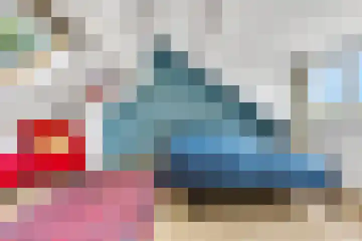 De Steenkamp 126 Voorthuizen thumbnail 38