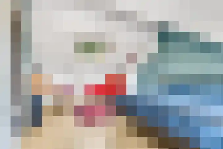 De Steenkamp 126 Voorthuizen thumbnail 39