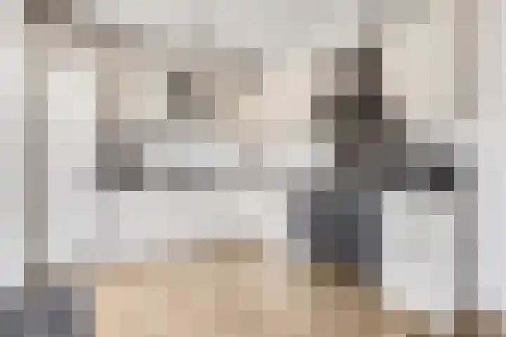 De Steenkamp 126 Voorthuizen thumbnail 4