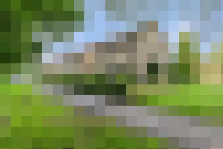 De Steenkamp 126 Voorthuizen thumbnail 42