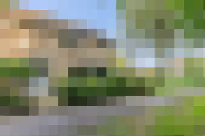 De Steenkamp 126 Voorthuizen thumbnail 43