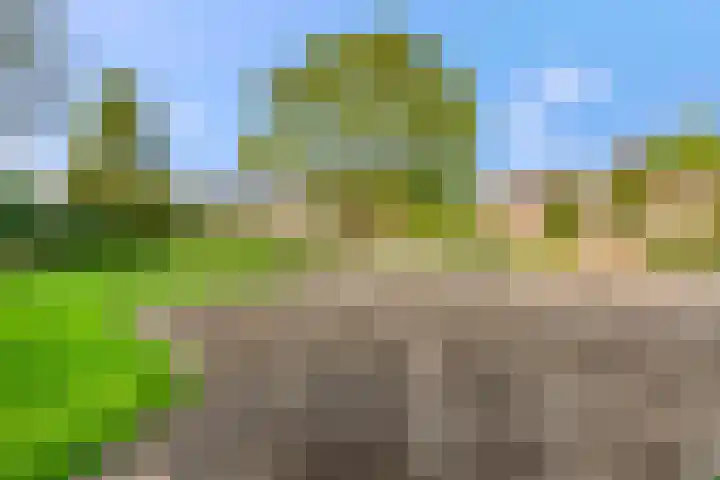 De Steenkamp 126 Voorthuizen thumbnail 44