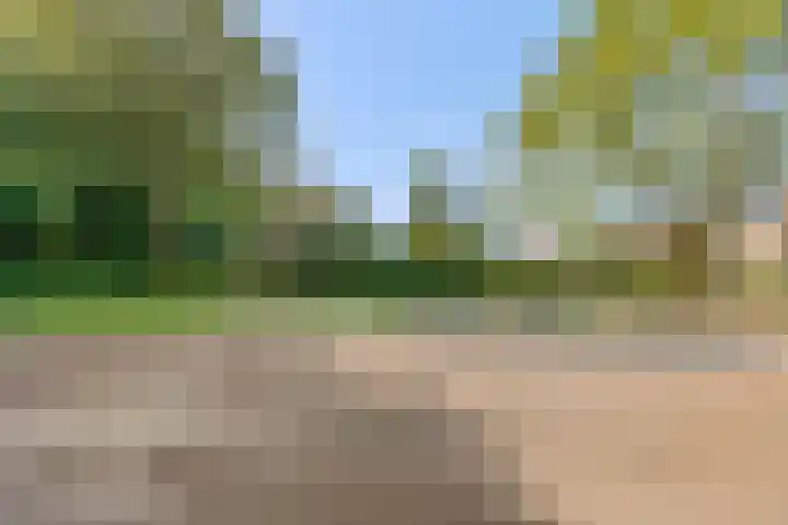 De Steenkamp 126 Voorthuizen thumbnail 45