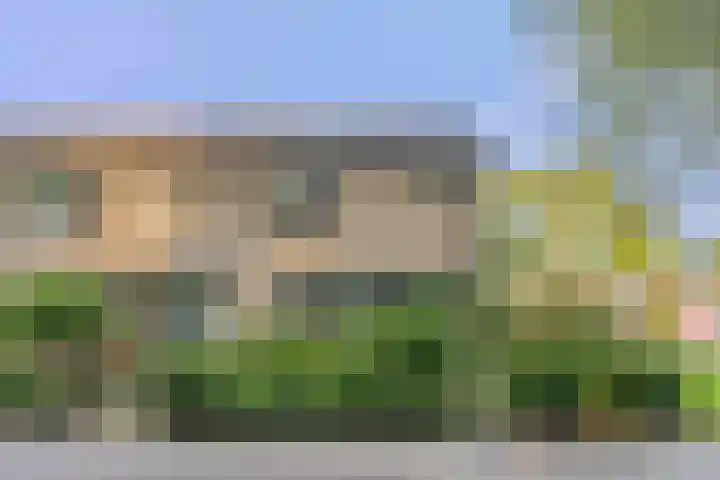 De Steenkamp 126 Voorthuizen thumbnail 6