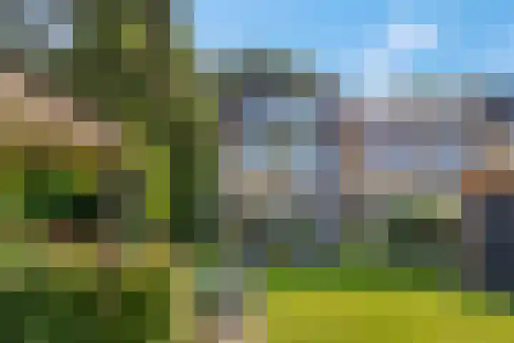 De Steenkamp 126 Voorthuizen thumbnail 8