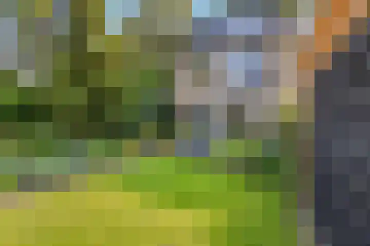 De Steenkamp 126 Voorthuizen thumbnail 9